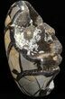 Polished Septarian Geode Sculpture - Black Crystals #55012-3